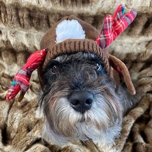 Time For Joy • Reindeer Dog sweater • Size: S